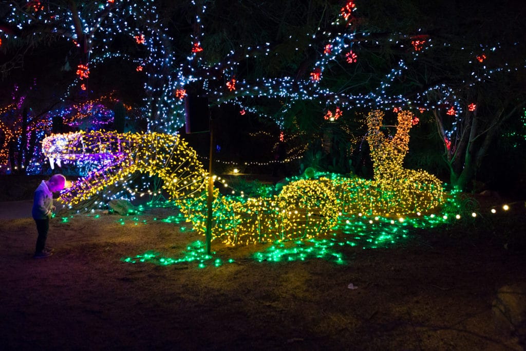 Where to see Zoolights AZ. 