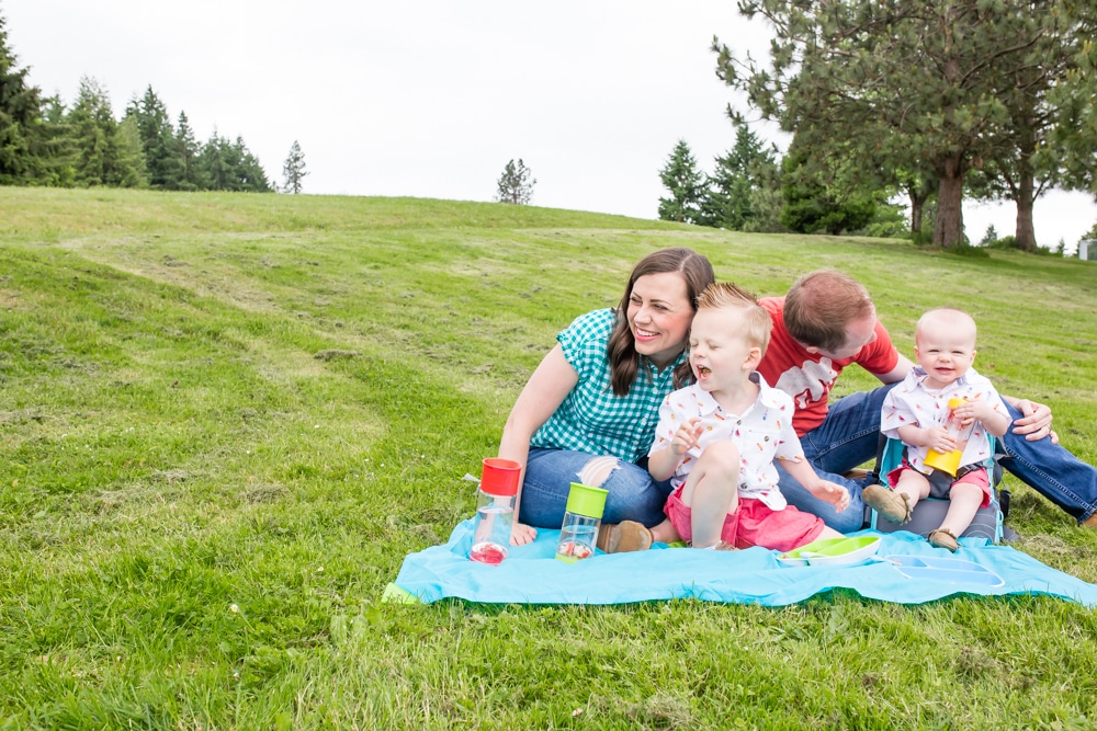 Products for a family picnic. 