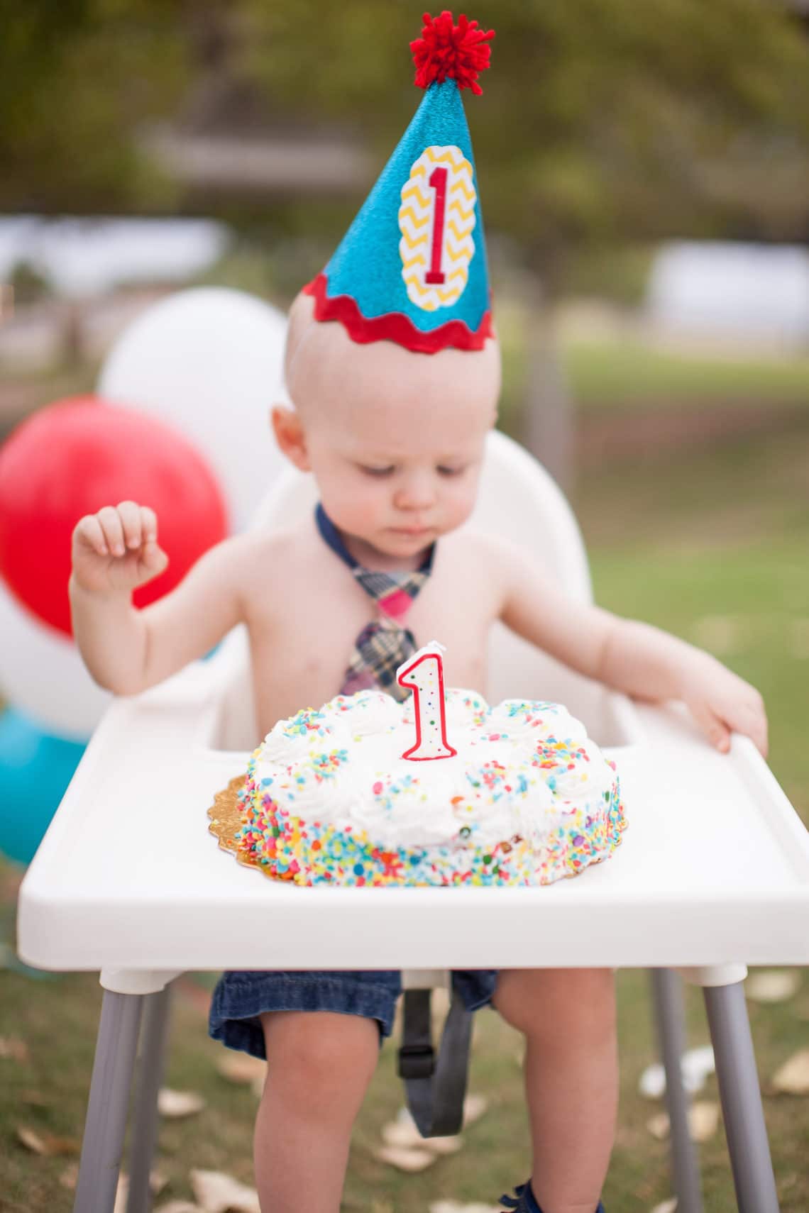 Cake Party! Baby's First Birthday