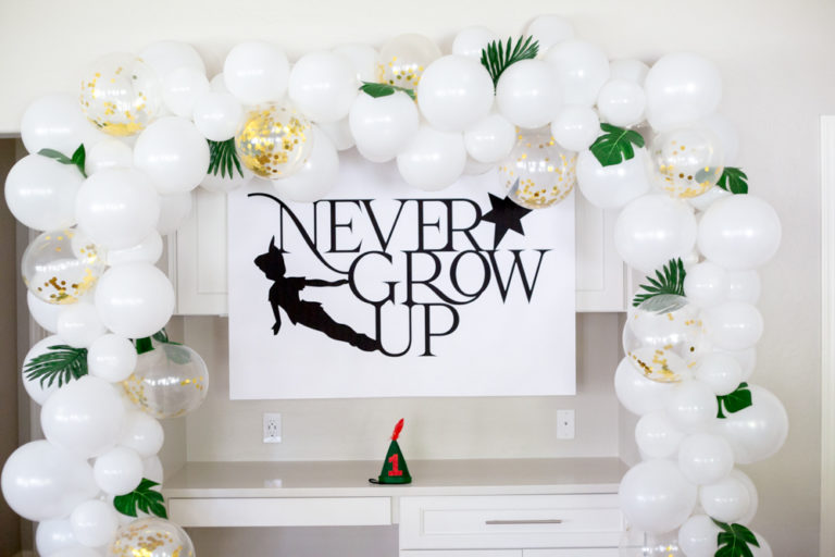 Peter Pan Birthday Party