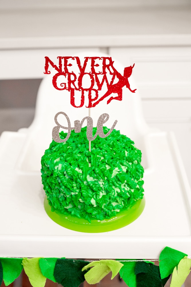 Peter Pan 1st Birthday Party Theme: A Neverland Birthday Party