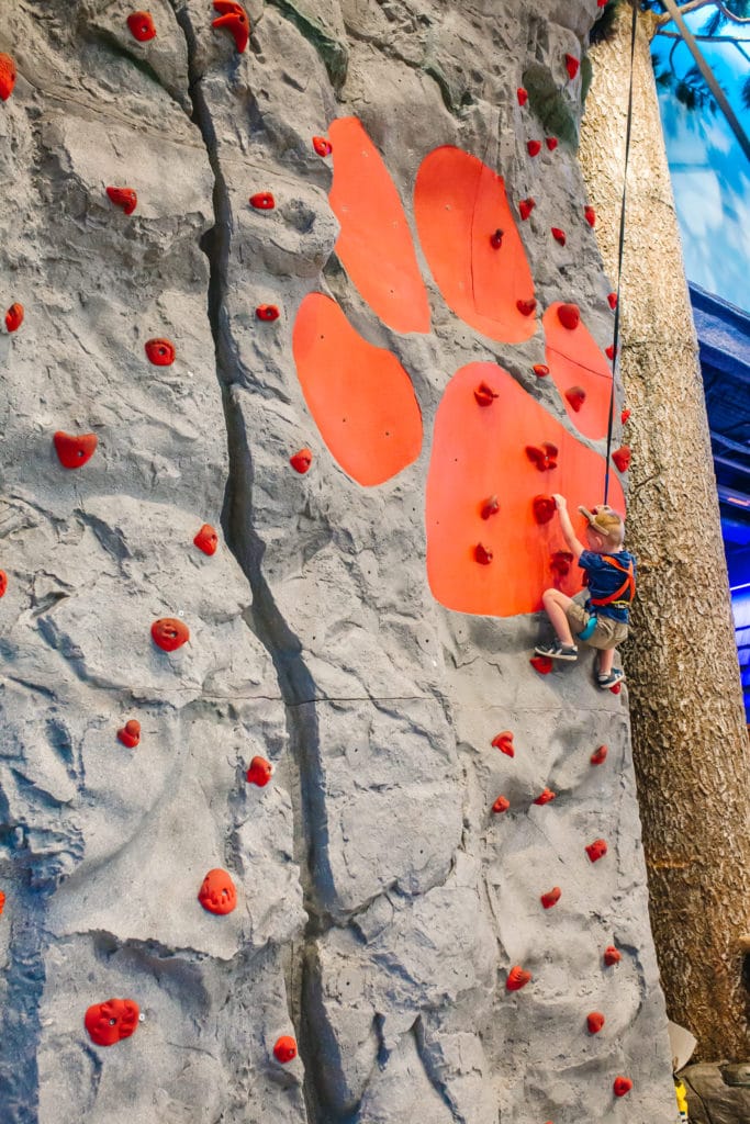 Activities at The Great Wolf Lodge AZ. 