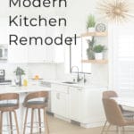 Mid Century Modern Kitchen Remodel