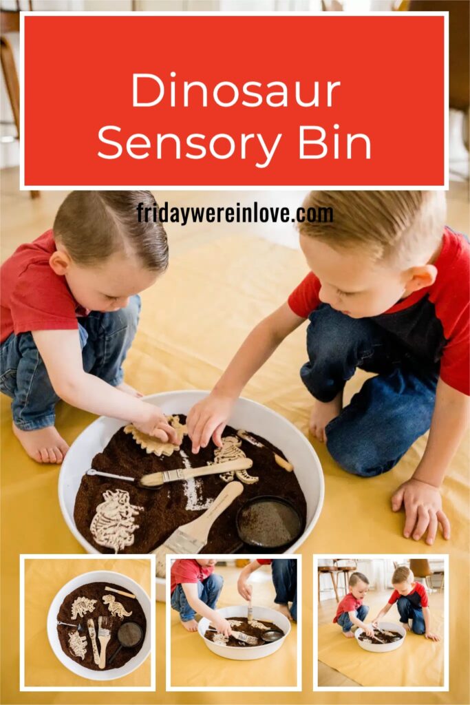 Dinosaur Sensory Bin