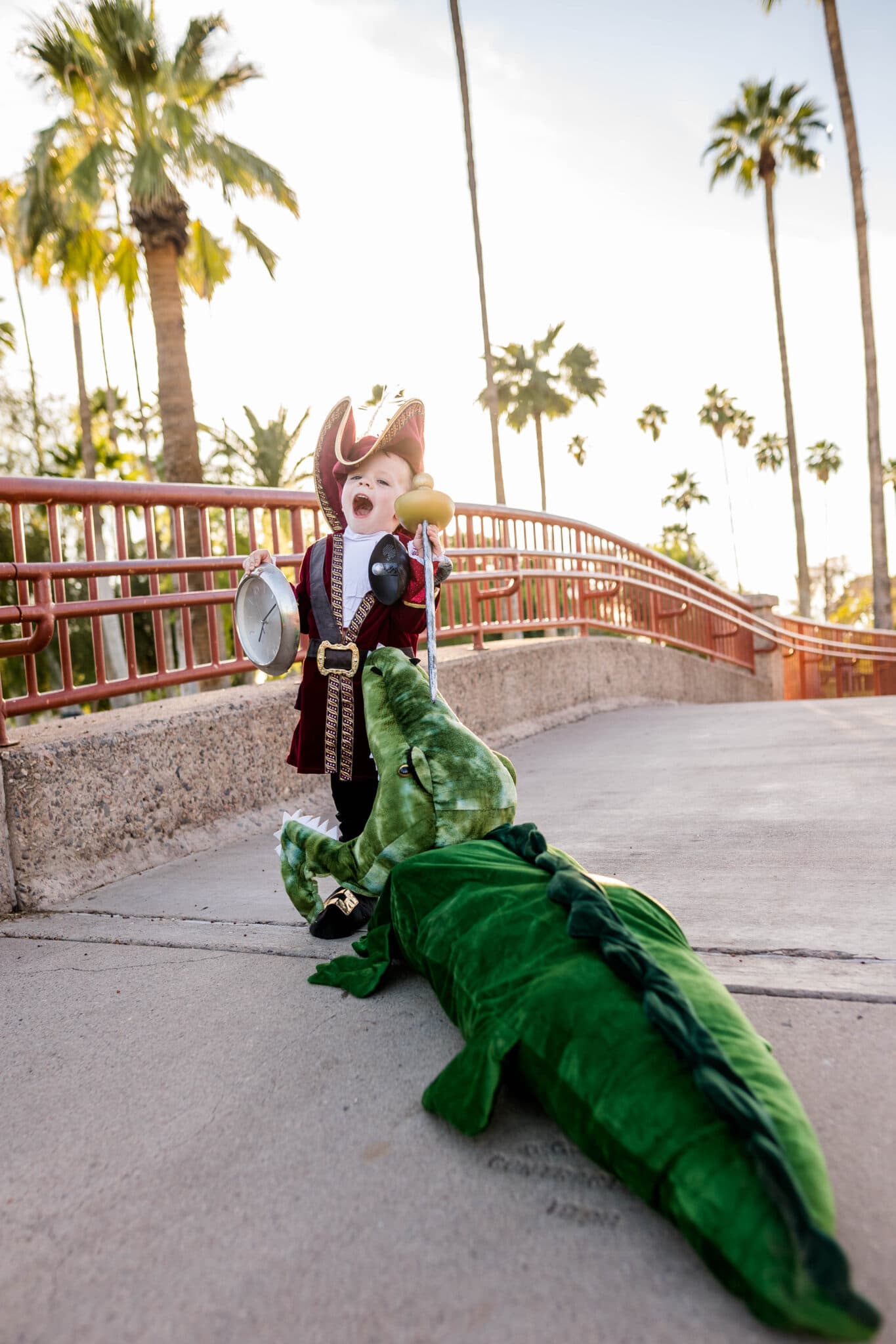 Captain Hook and Crocodile costume for kids. 