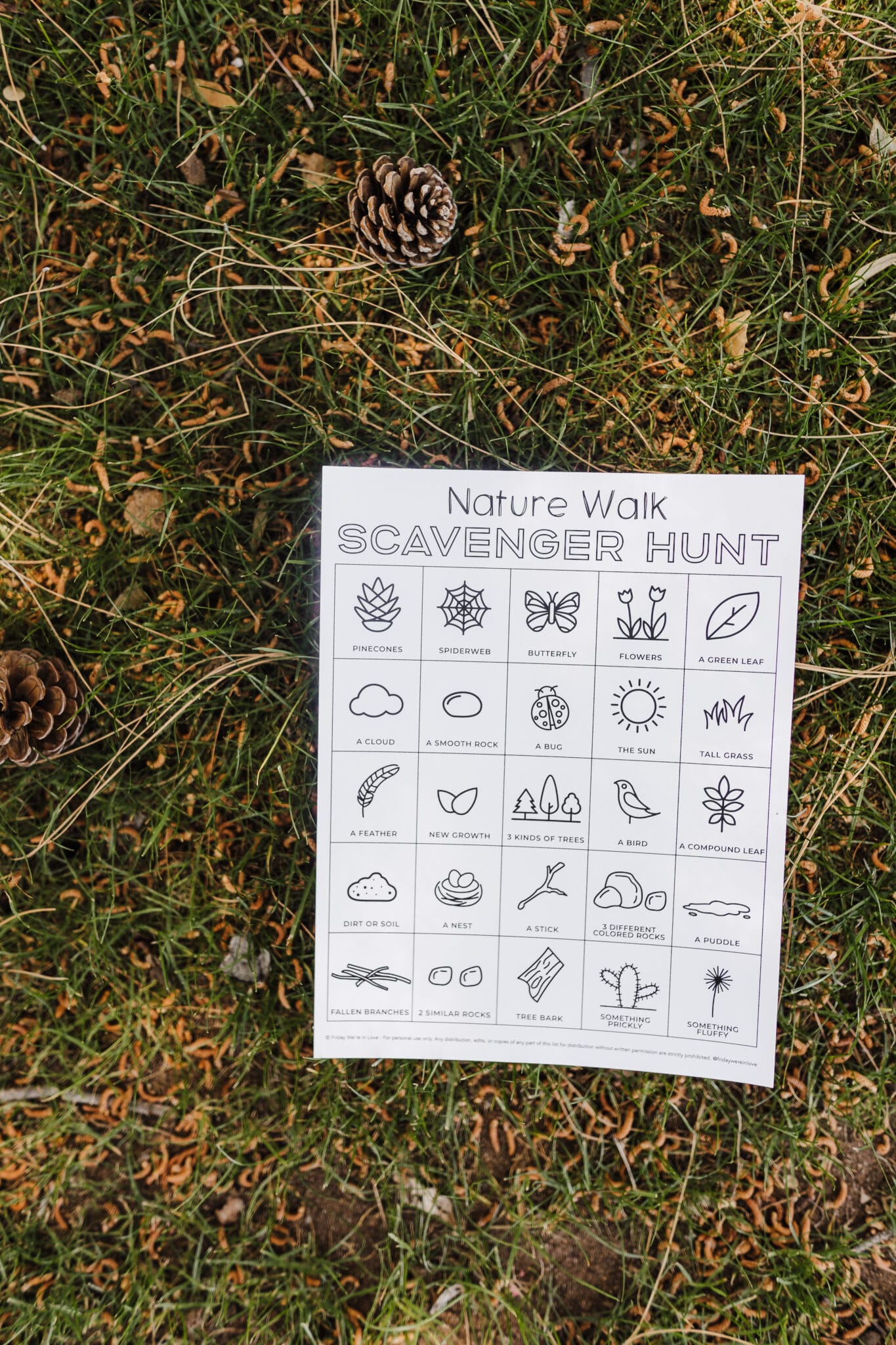 Nature Walk Scavenger Hunt printable.