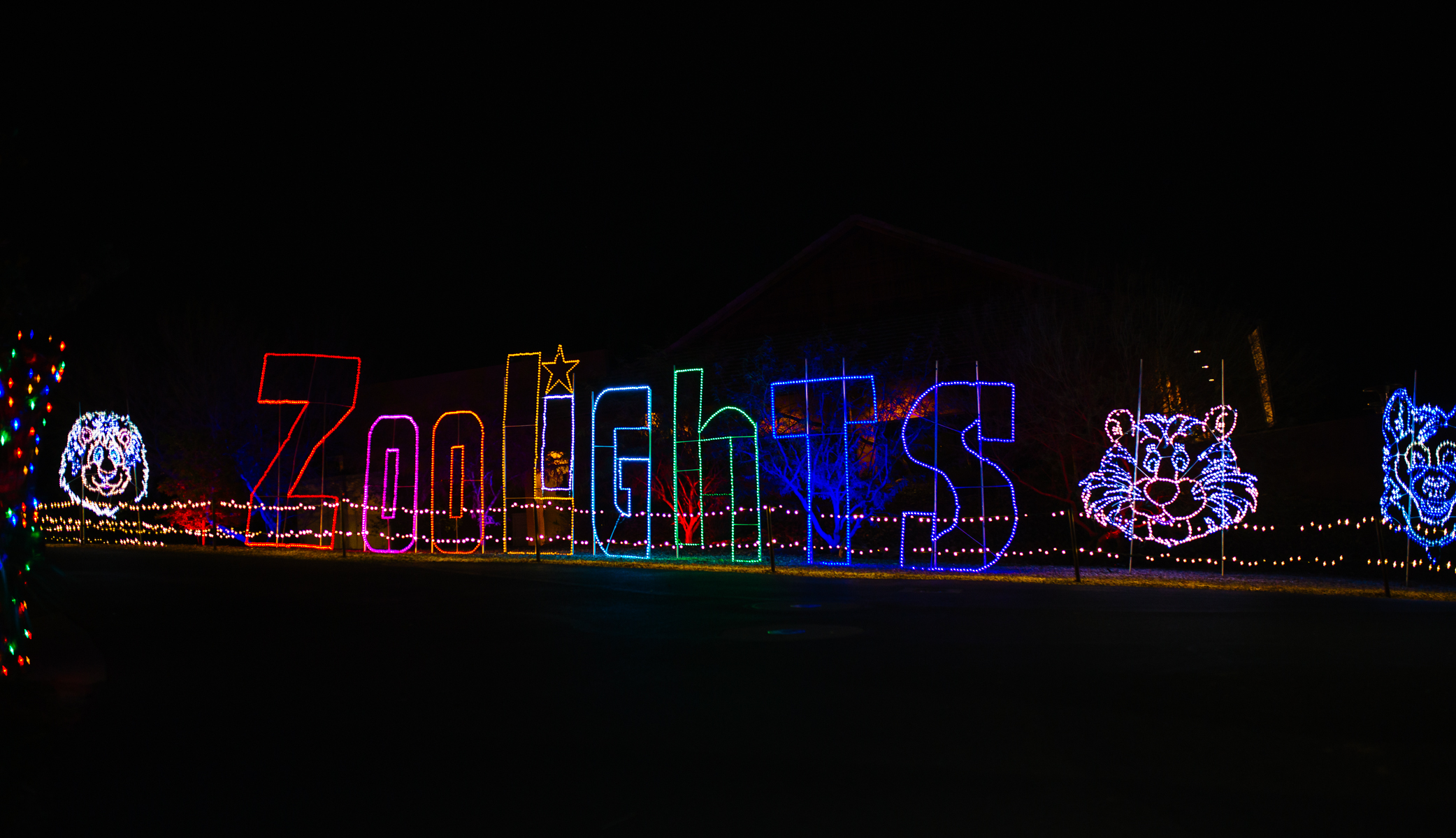 Zoo Lights Date Night Friday We're In Love