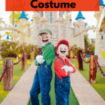 Mario and Luigi costume.