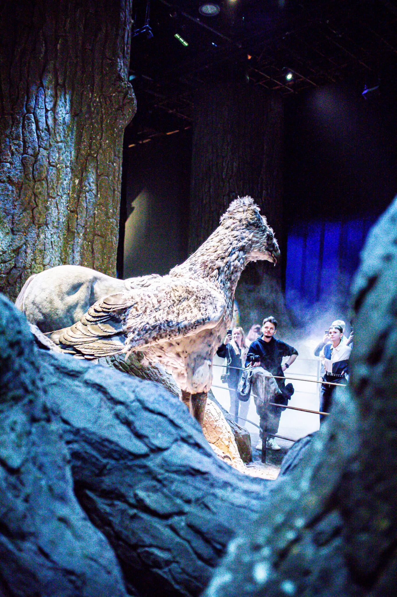 The Harry Potter Studio Tour in London Forbidden Forrest set with the animatronic Buckbeak. 