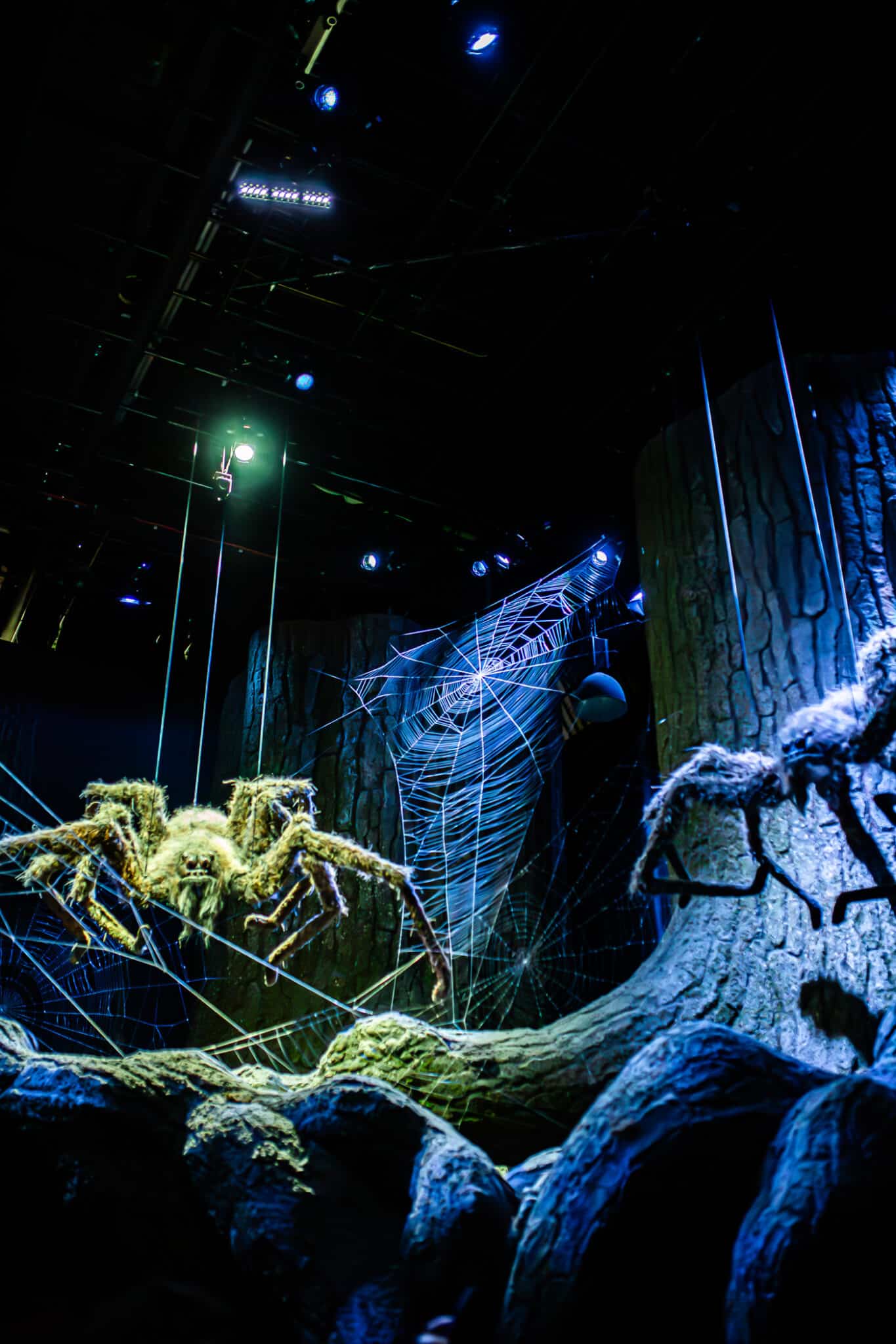 The Forbidden Forrest spiders at the Harry Potter Studio Tour in London. 