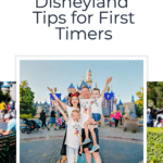 Disneyland tips for first timers or people who haven't been in a while.