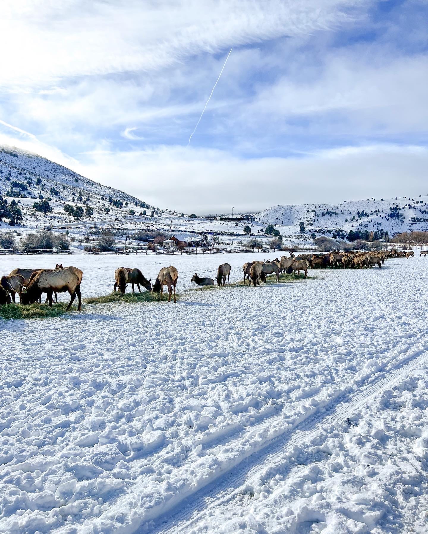 Blacksmith Fork Canyon sleigh ride date in Logan Utah. 